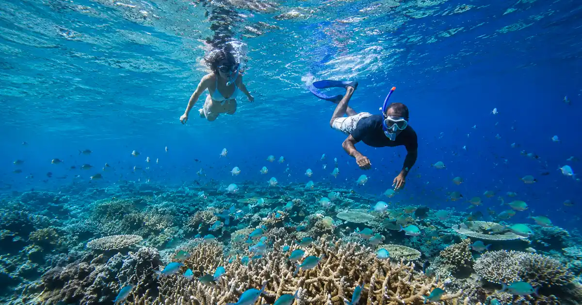 Goa for Snorkeling and Scuba Diving