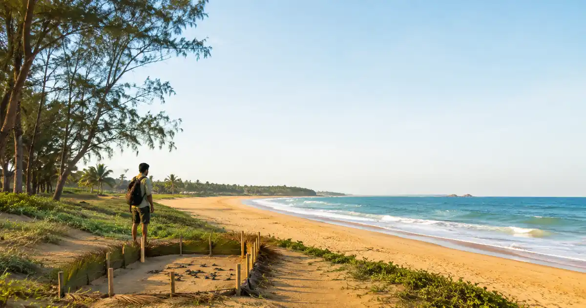 Morjim Beach - Beaches in Goa