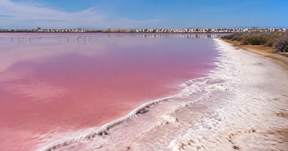 Las Salinas de Torrevieja, Spain