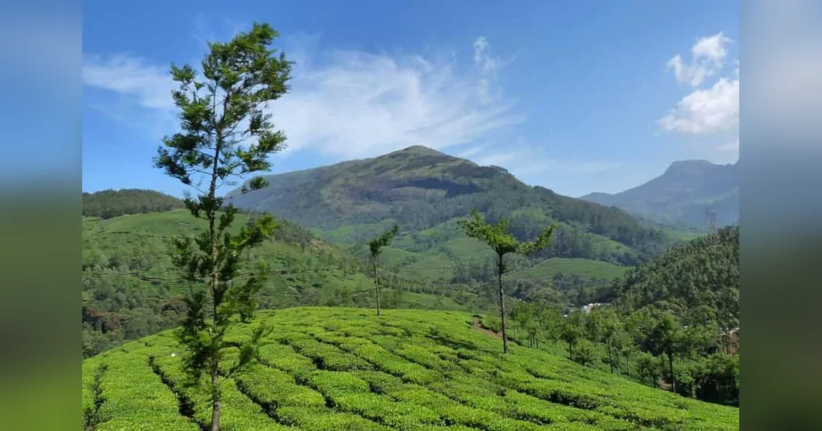 Anamudi, Munnar