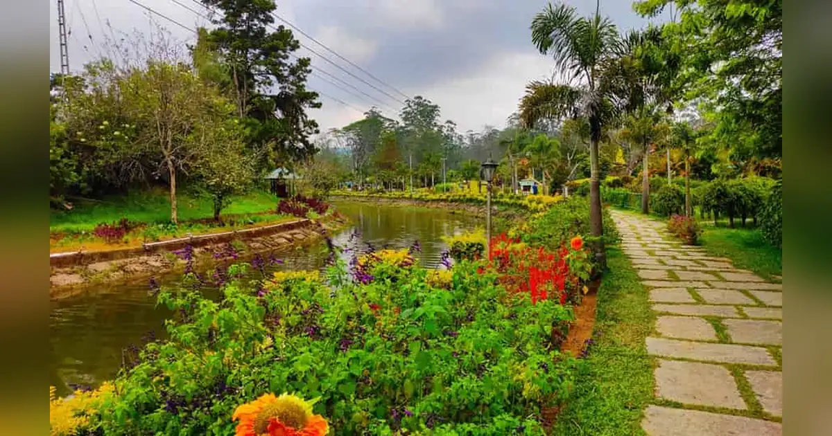 Blossom Park, Munnar