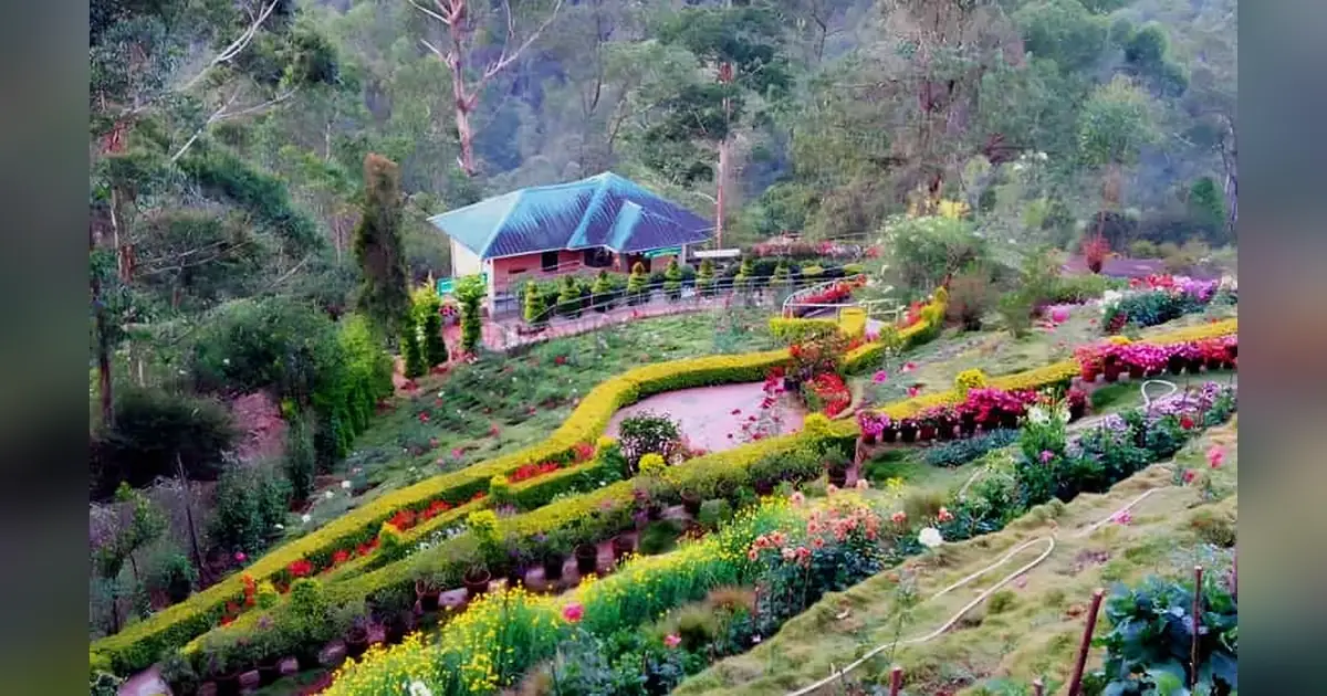 Rose Garden, Munnar