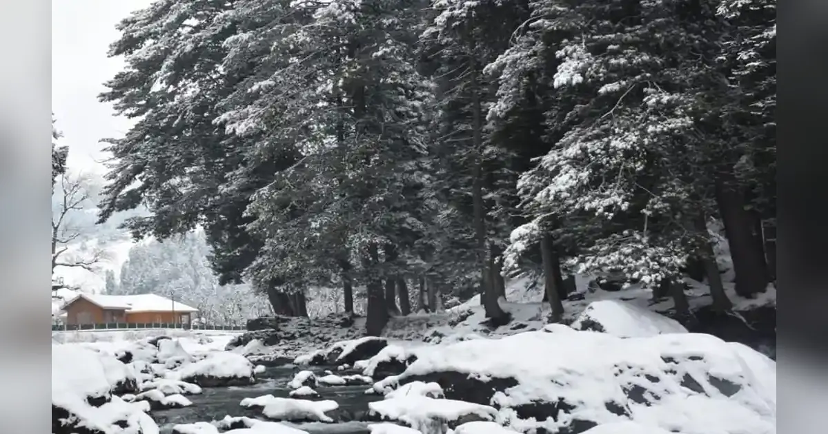 Sonamarg after Snowfall in Jammu Kashmir