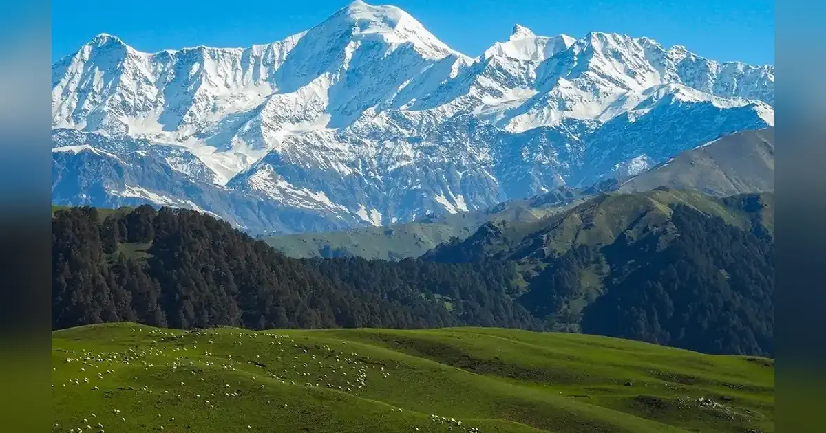 Dayara Bugyal Trek – A Snowy Wonderland Uttarakhand