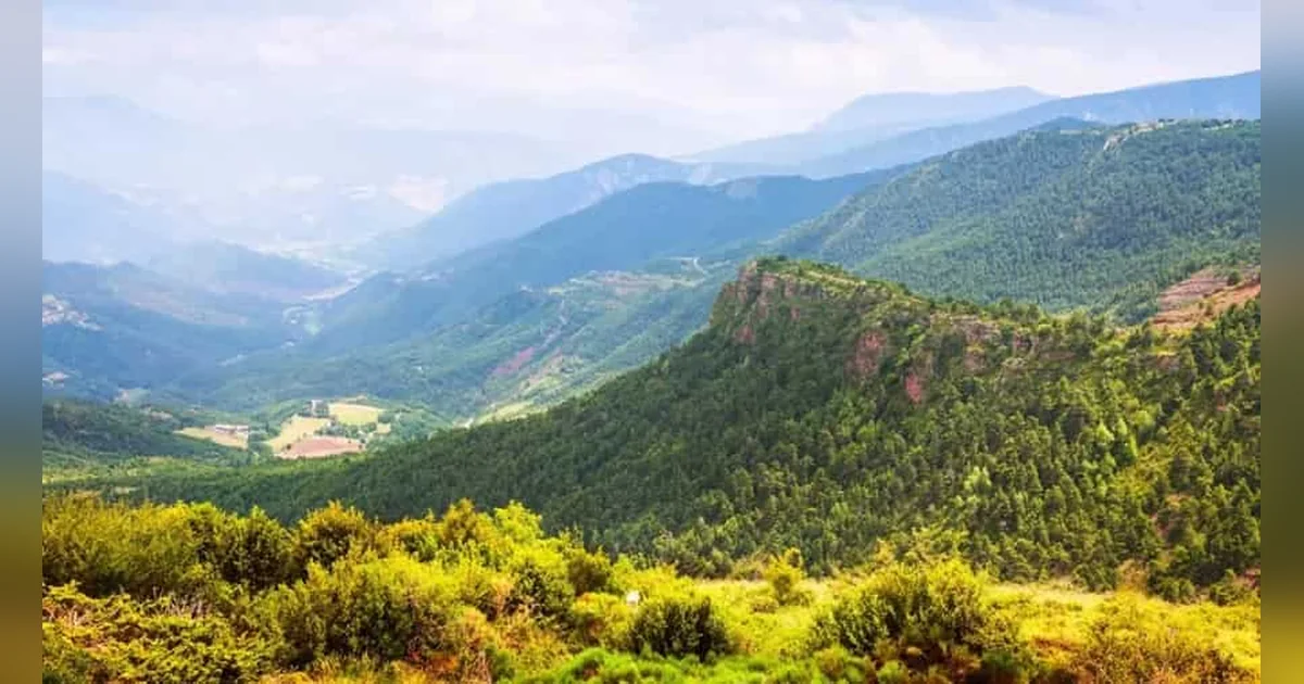 Daringbadi Hill Station