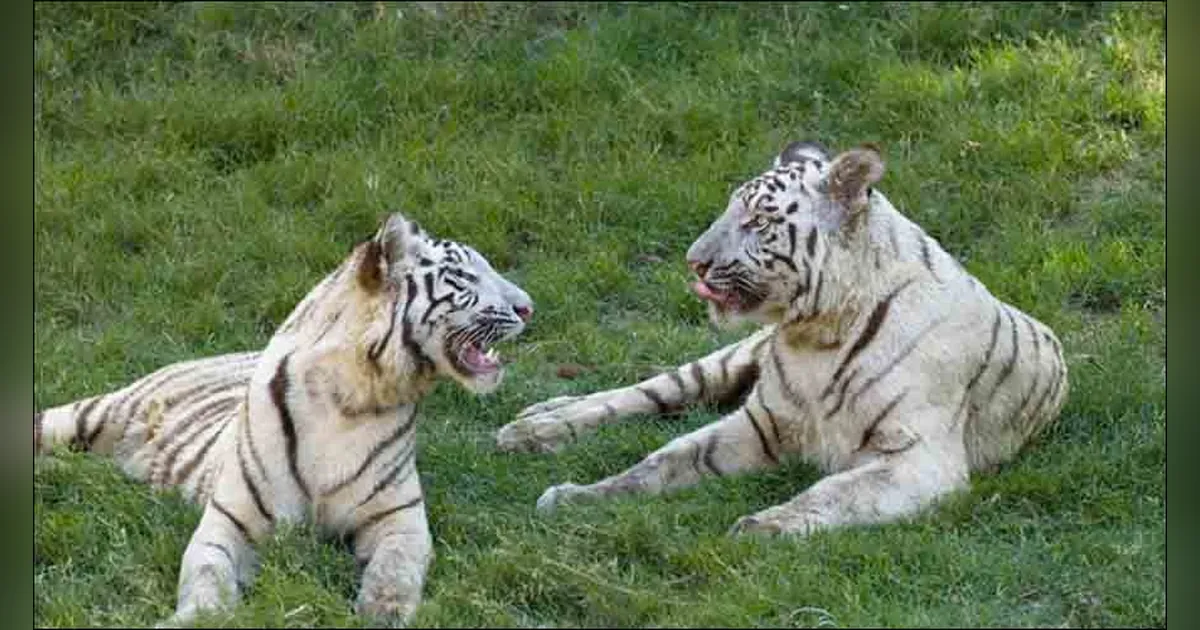 National Zoological Park