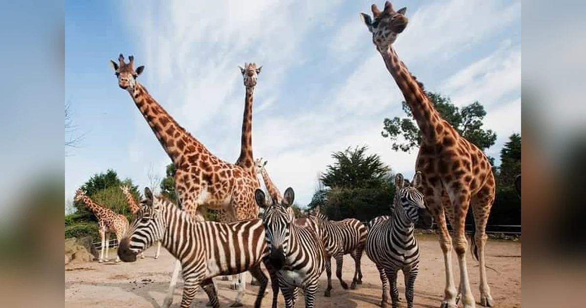 Dehiwala Zoological Garden