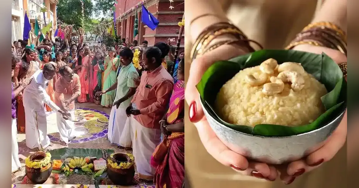 Thai Pongal