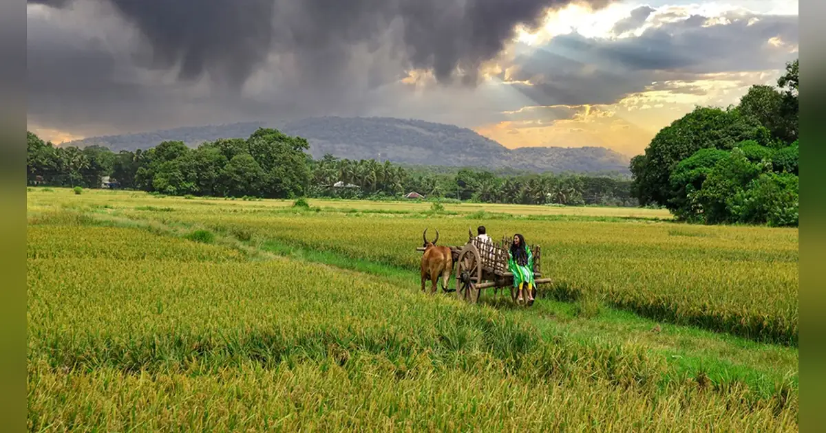 Charalkunnu