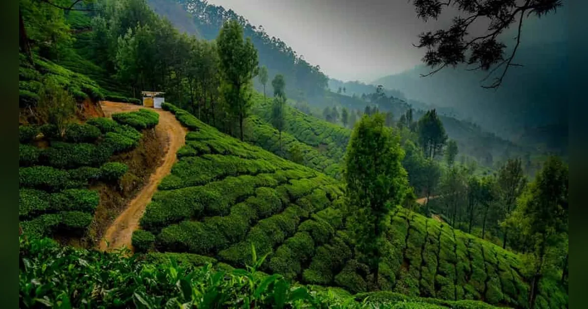 Munnar Hill Station