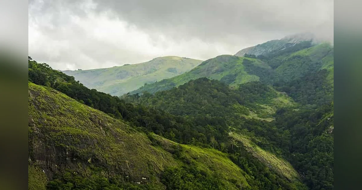 Nelliyampathy Hill Station