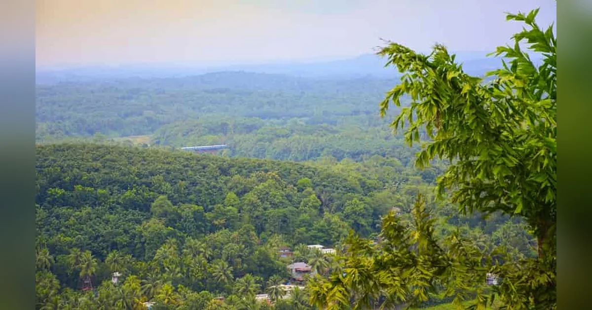 Nilambur Hill Station
