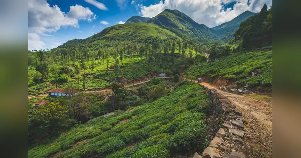 Painavu Hill Station