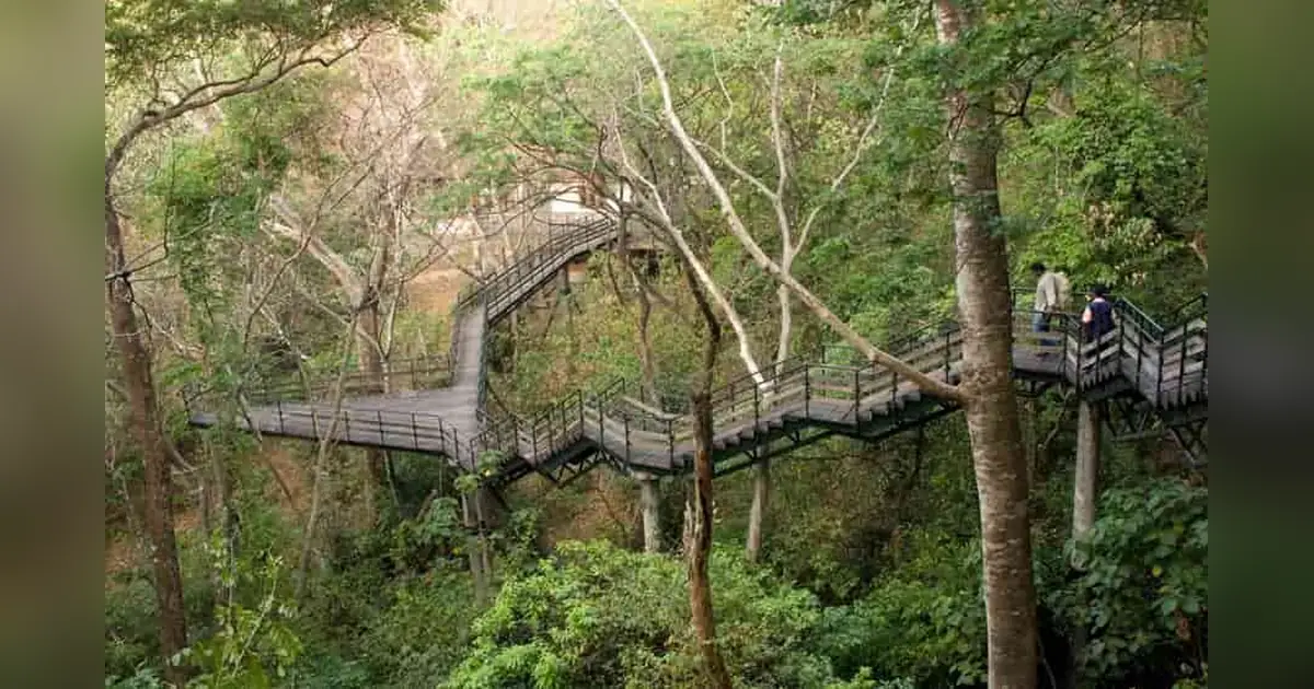 Thenmala Hill Station