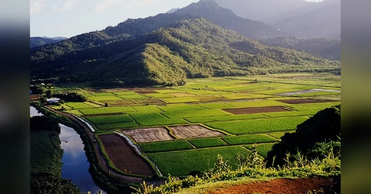 Diphu