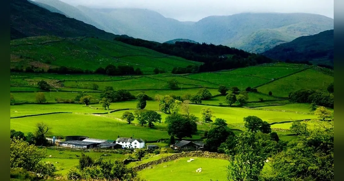 Ziro