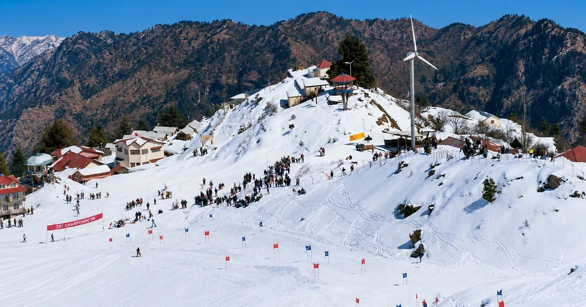 Auli