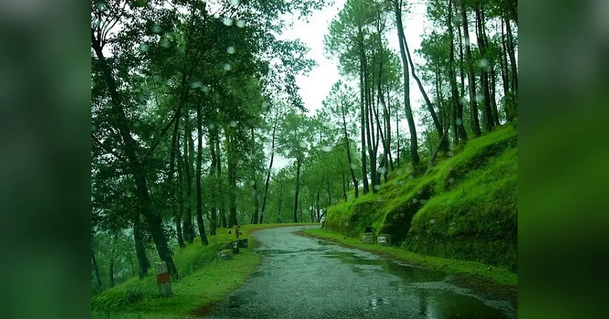 Ranikhet