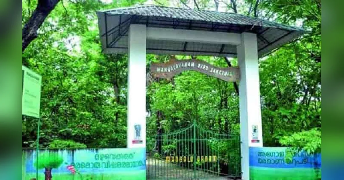 Mangalavanam Bird Sanctuary