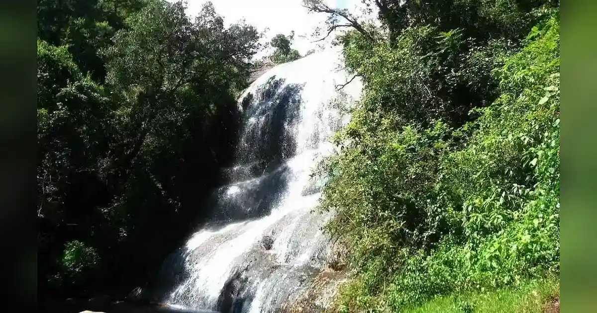 Bear Shola Falls Kodaikanal in tamil nadu