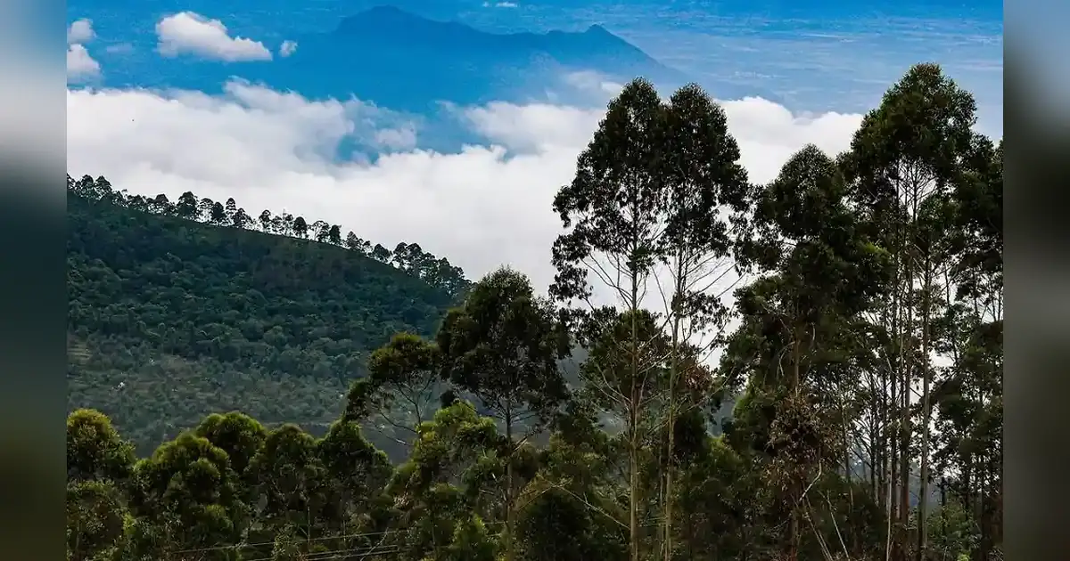 Coaker’s Walk in tamil nadu