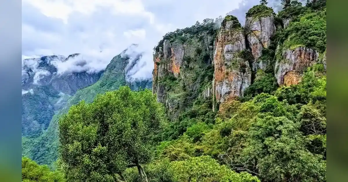 Pillar Rocks Kodaikanal in tamil nadu