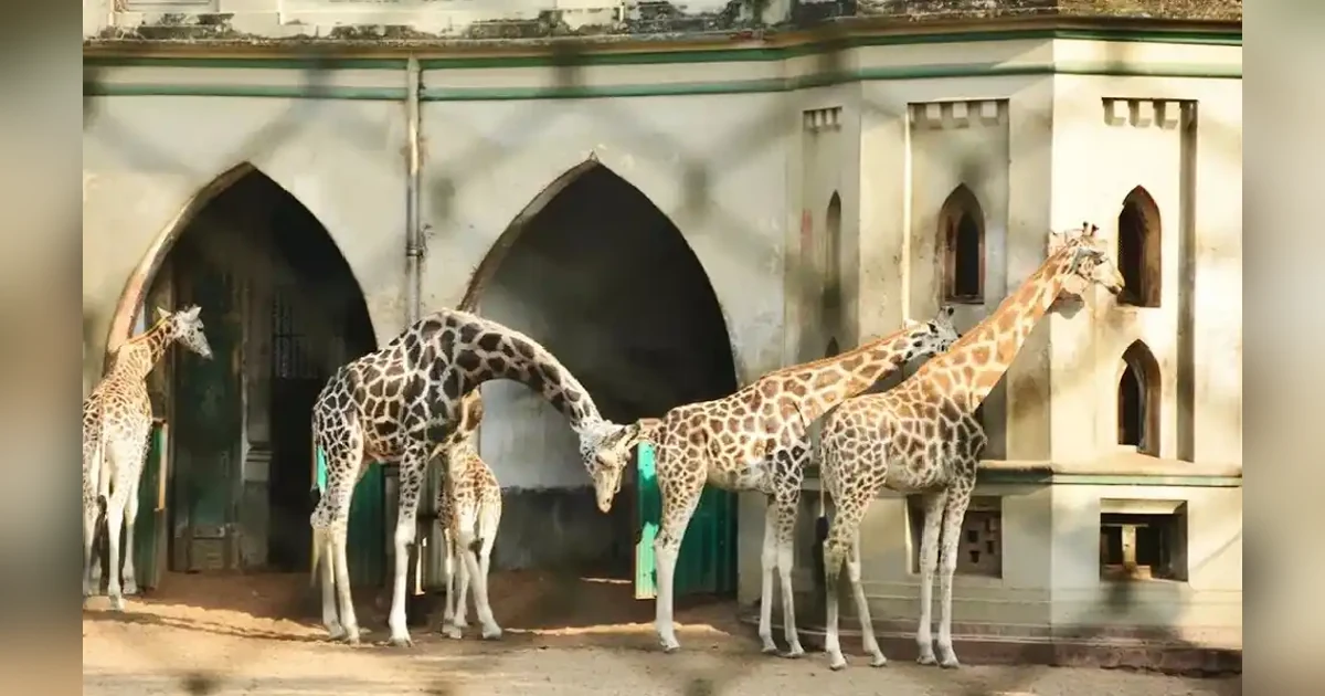 Alipore Zoological Gardens kolkata