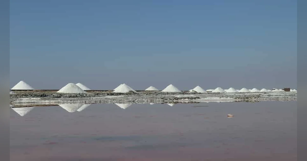 Sambhar Salt Lake
