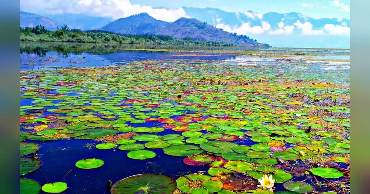 Wular Lake