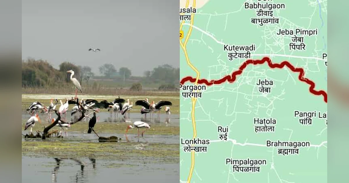 Manjira River - Longest Rivers in India