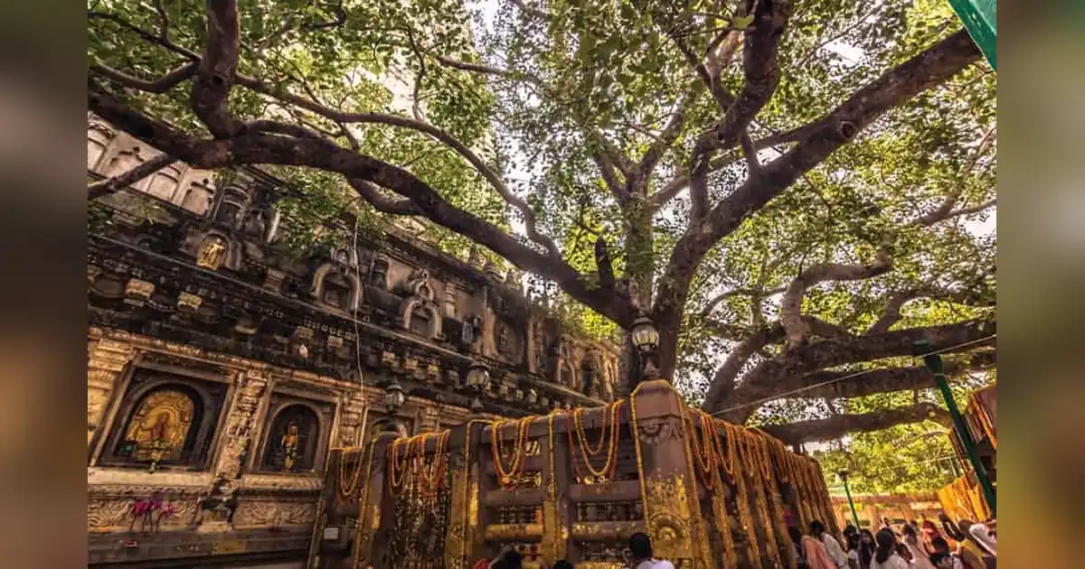 Mahabodhi Tree
