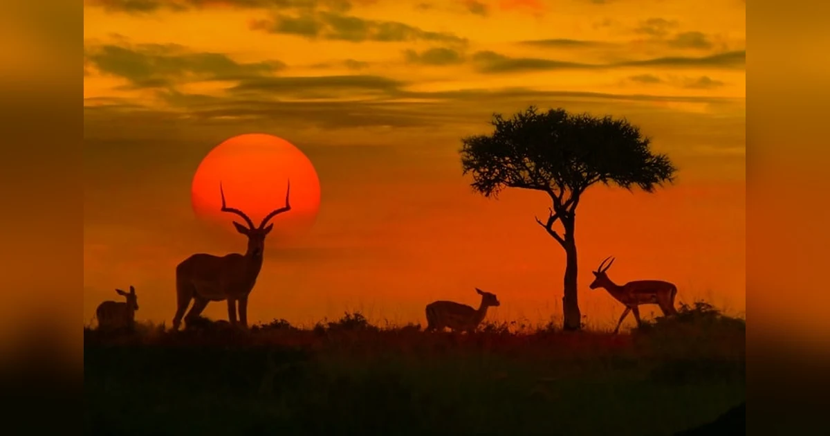 Kumbhalgarh Wildlife Sanctuary