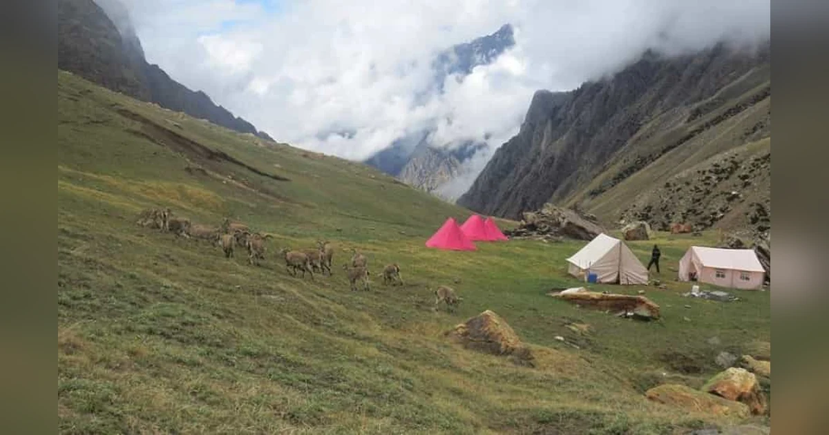Gangotri National Park