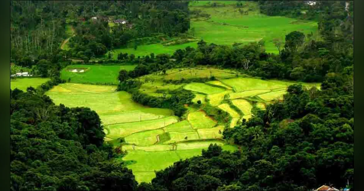 Coorg, Karnataka