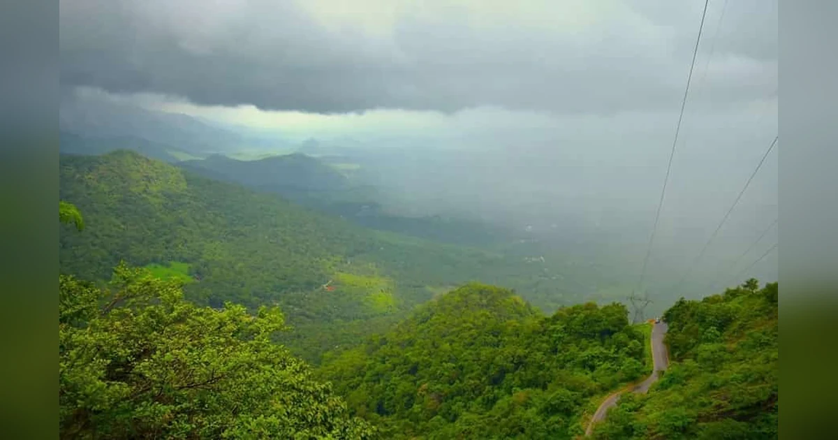 Kalpetta