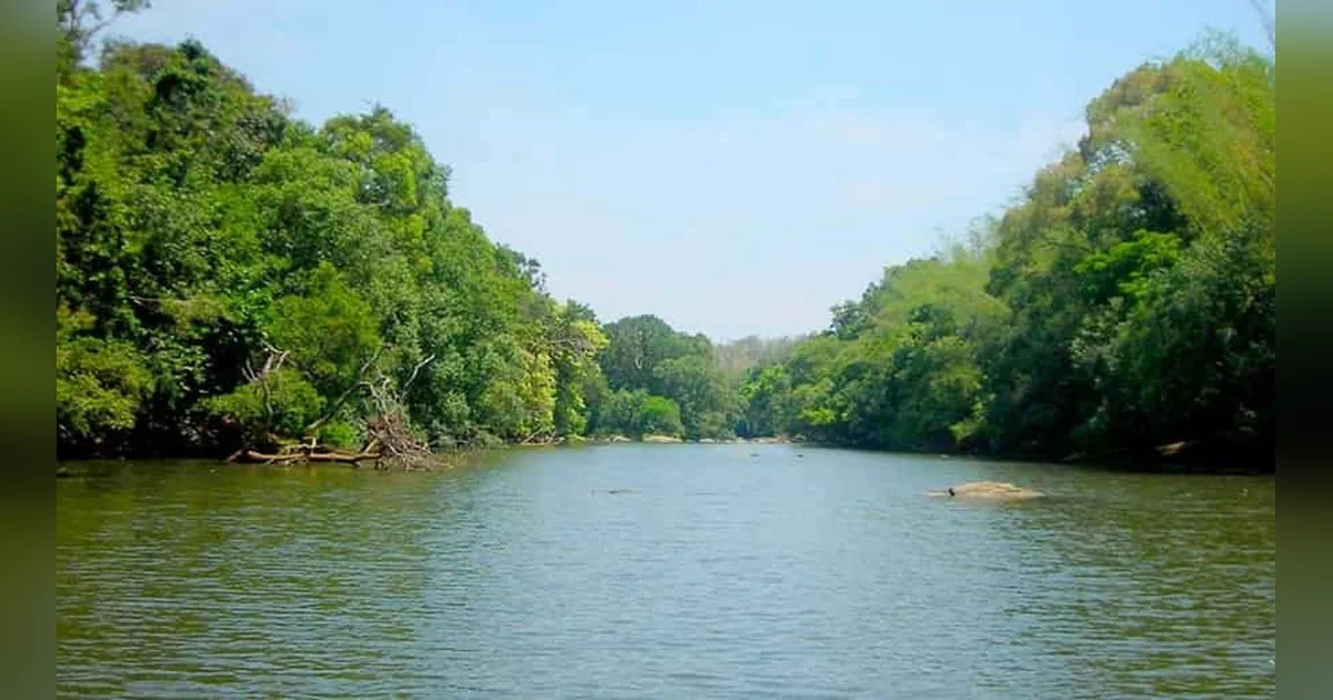 Kuruva Island