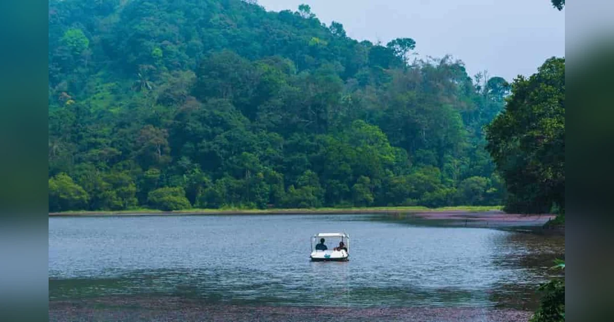 Pookode Lake