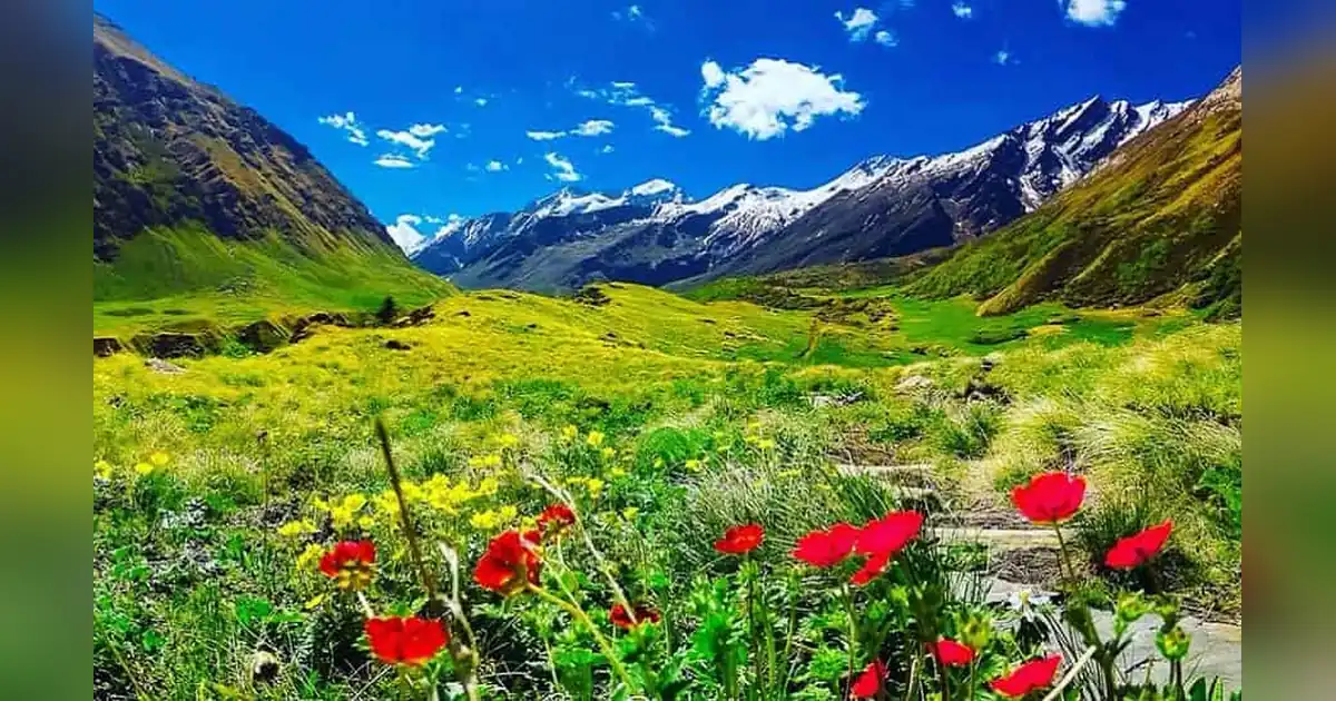 Bali Pass Trek