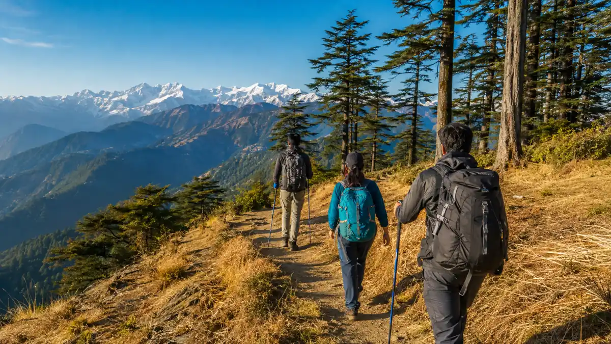 Shimla Trekking Venture