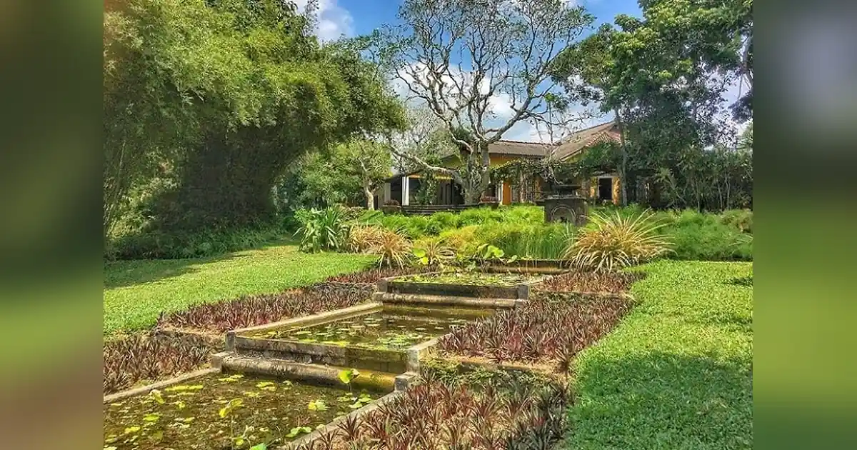The Brief Garden