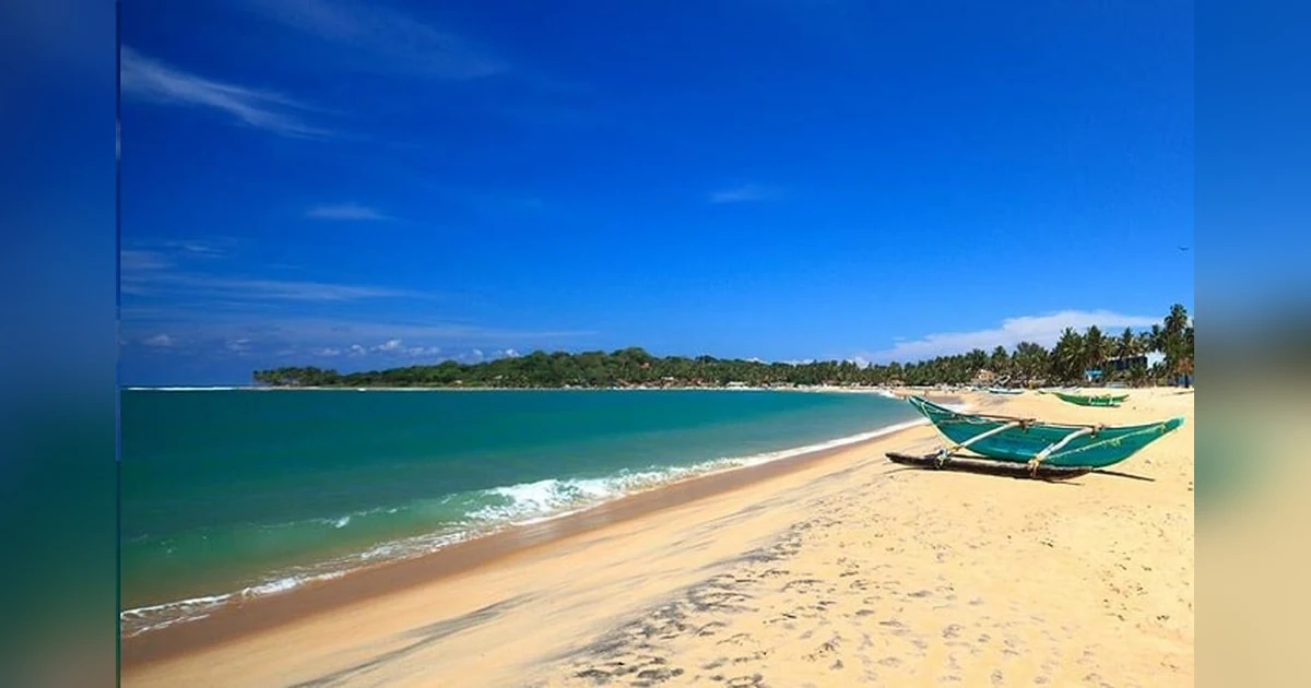 The Paradise Island