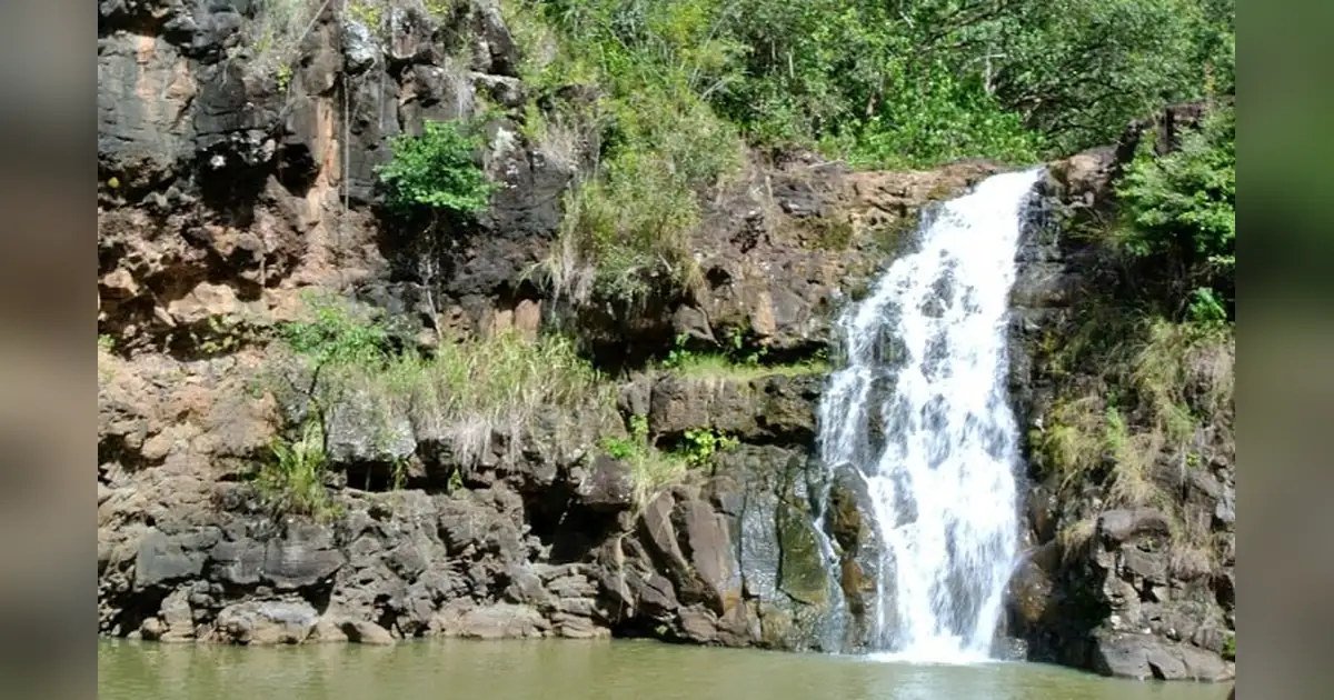 Waimea Arboretum and Botanical Gardens
