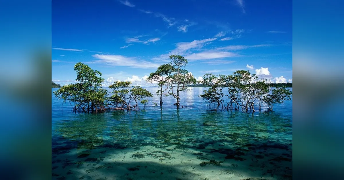 Havelock Island