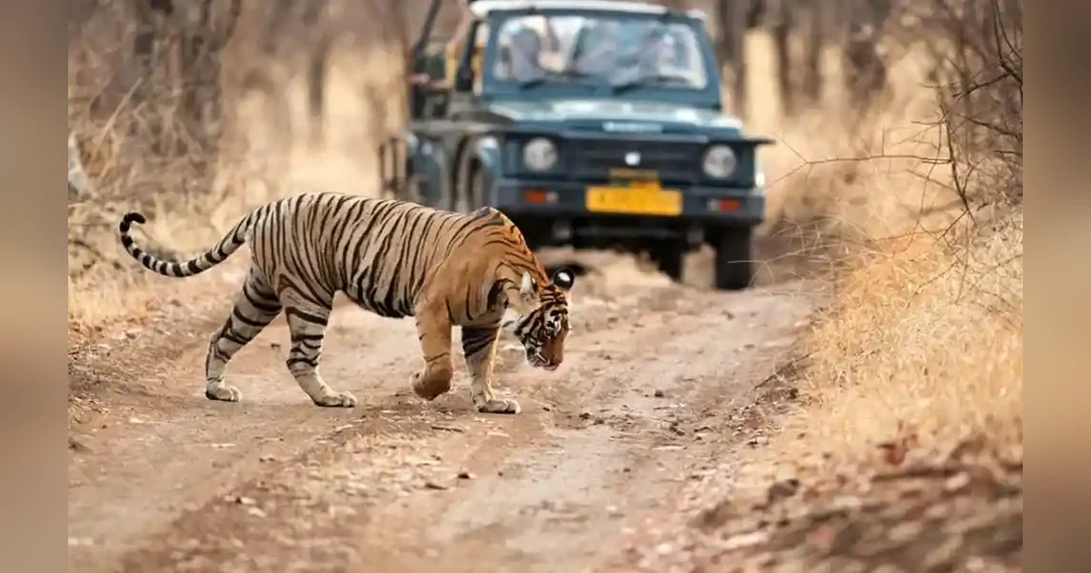 Jim Corbett National Park in Uttarakhand