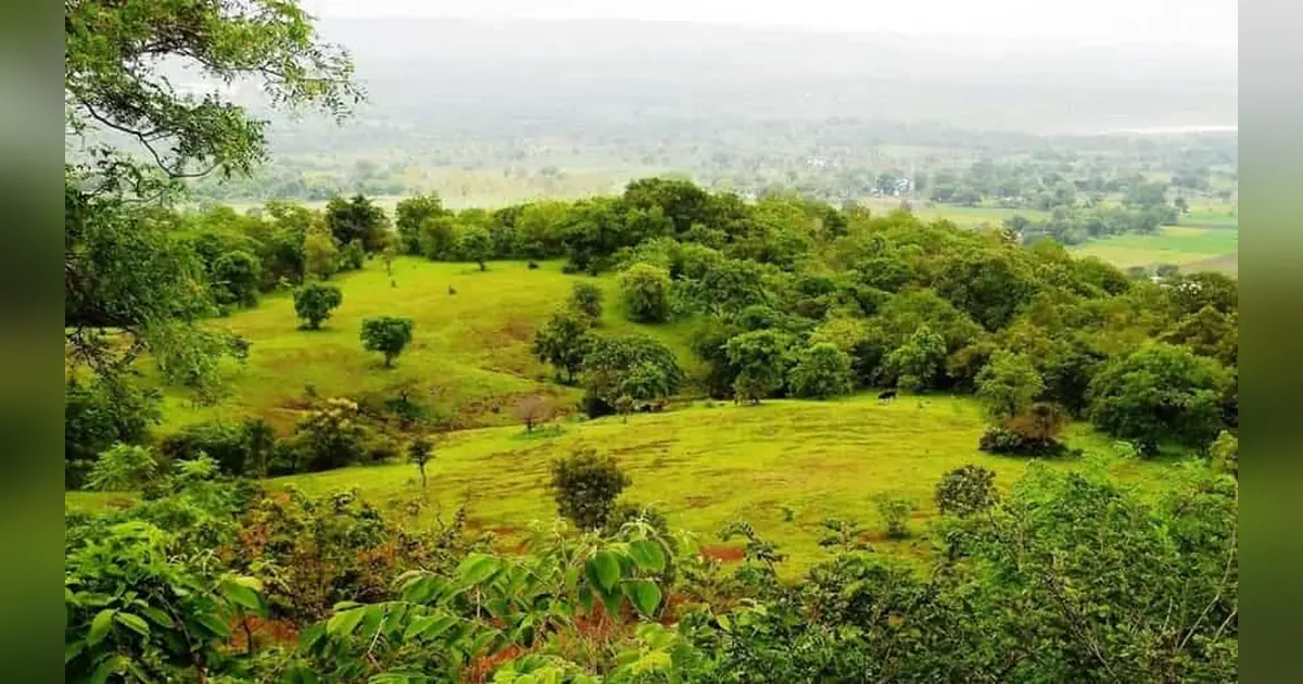 Ananthagiri Hills