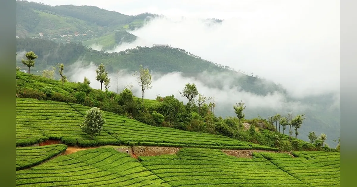 Coonoor