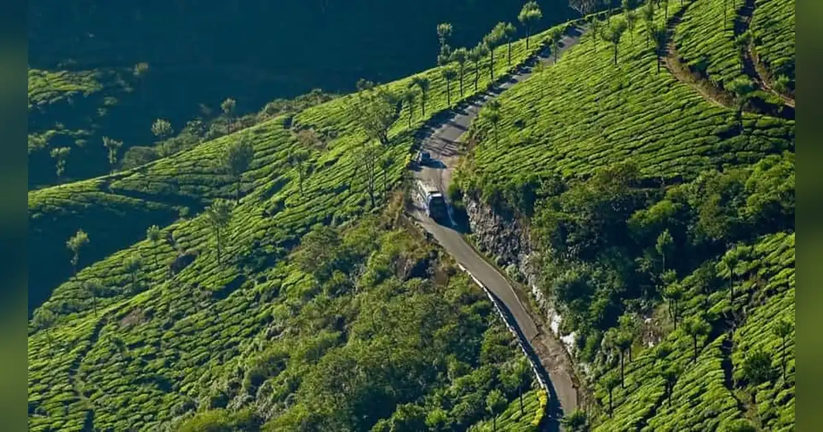 Pothamedu View Point, Munnar