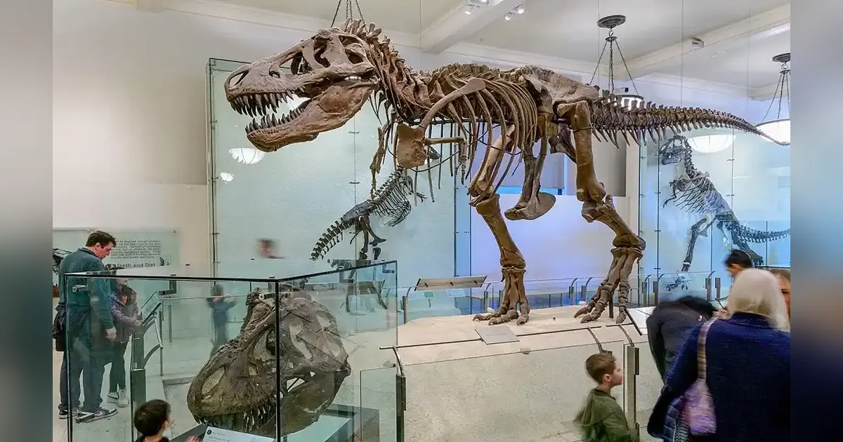 Museum of Natural History in new york