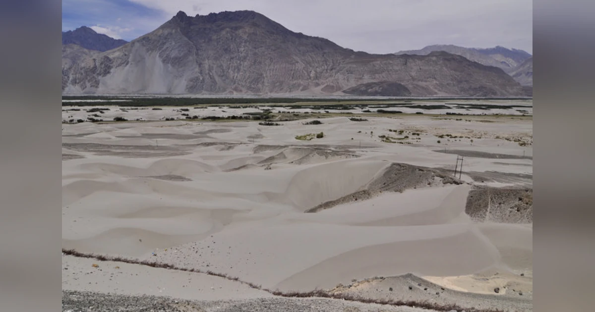 Nubra Sand Dune Park