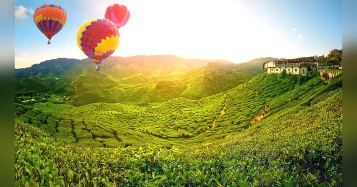 Cameron Highlands